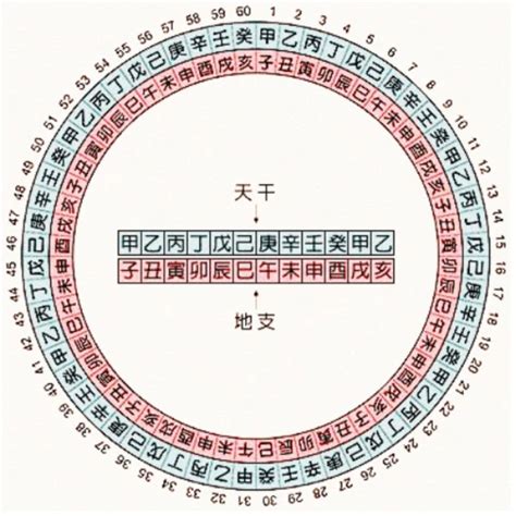 甲乙丙丁戊己庚辛壬癸|天干地支（中国古代天文历法）